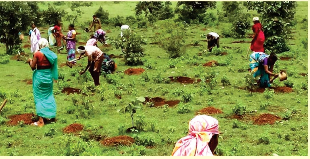 https://1ngo.sgp1.digitaloceanspaces.com/media/shrimahalaxmi/WhatsApp Image 2023-09-08 at 00.33.24 (1).jpeg